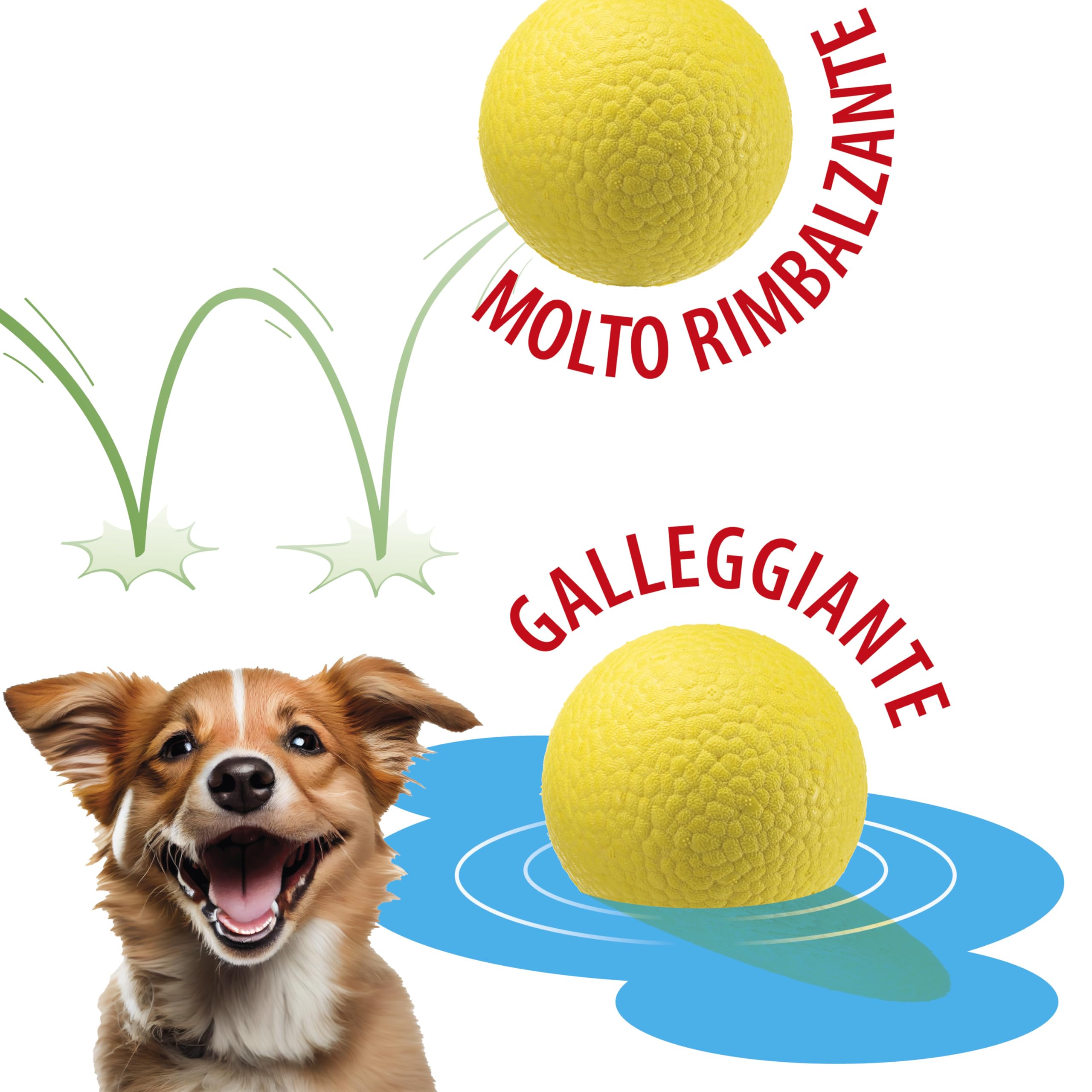 Ferplast CHEWA BOING BALL Giocattolo per Cani Super Rimbalzante e Galleggiante - Materiale innovativo resistente alla masticazione - Texture 3D per l'igiene dentale - Ultra Durevole - Design Italiano