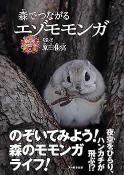 エゾモモンガ出品 81NFQk8hV-L._AC_UF350,