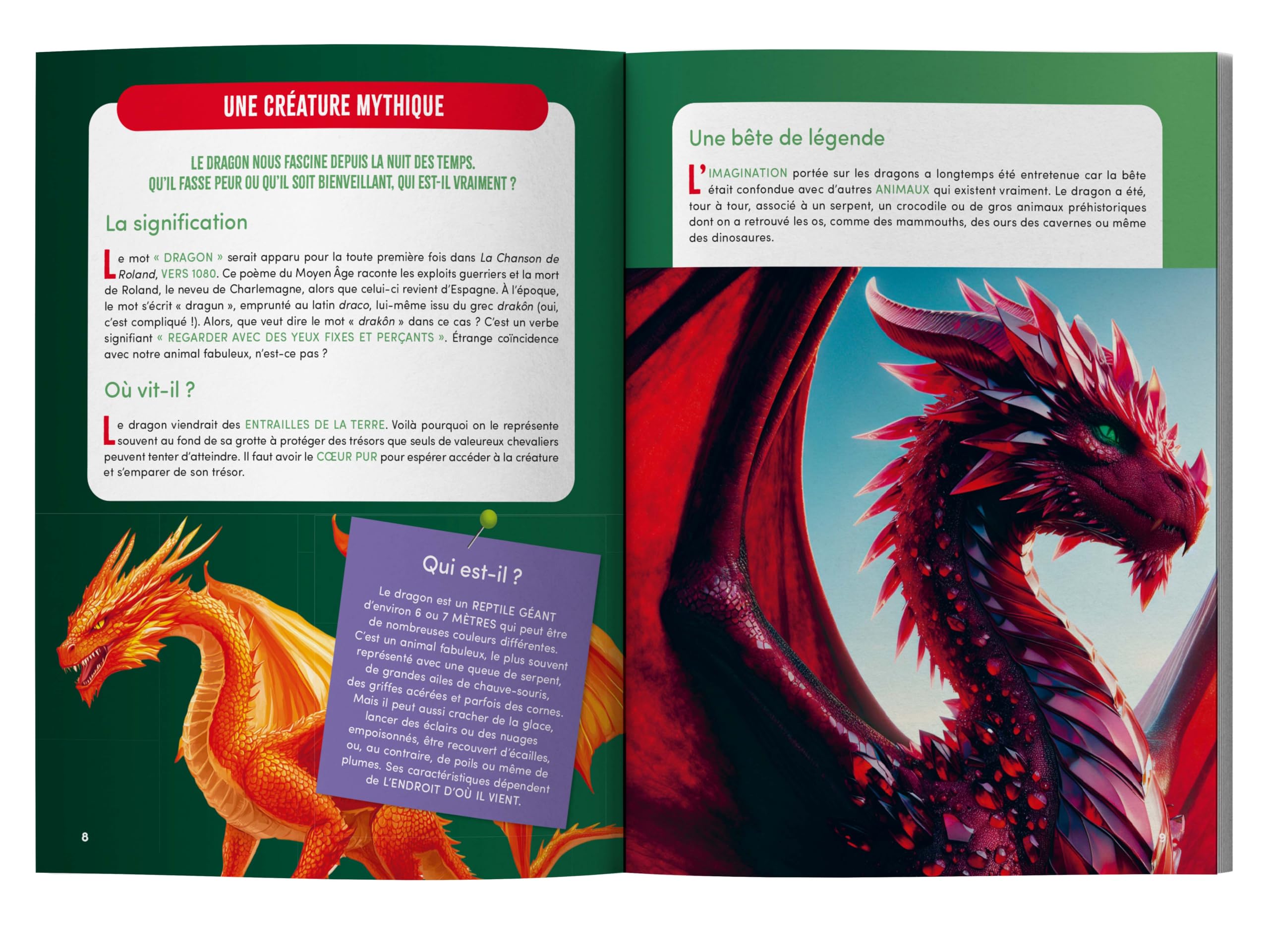 Mon grand livre des dragons: Origines, mythes et légendes