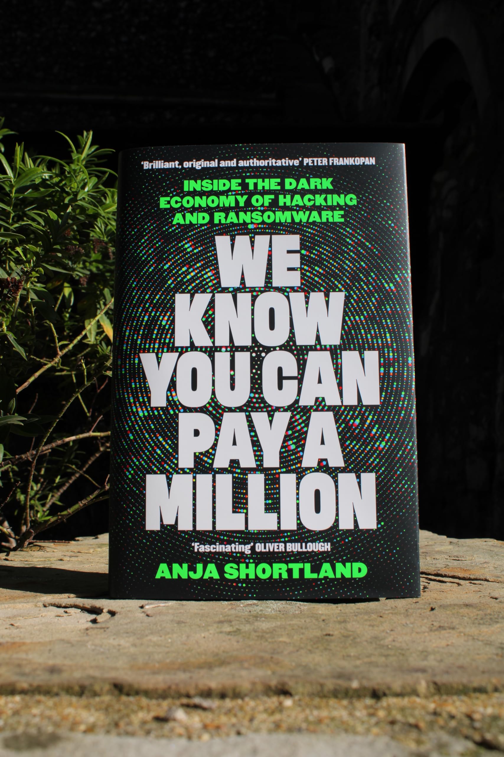 We Know You Can Pay a Million: Inside the Dark Economy of Hacking and Ransomware