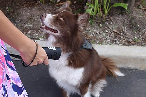 Miniatura 5 de Good Life, Inc. OnGuard  Dispositivo de entrenamiento ultrasónico de mano 3 en 1 para perros  Reduce humanamente el comportamiento no deseado