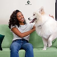 Vista 86 de CHUN YI - Funda elástica para sofá (7 piezas), funda para sofá de 3 plazas con tres respaldos y cojines separados con banda elástica, tela jacquard