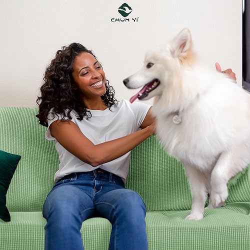 Vista 85 de CHUN YI - Funda elástica para sillón (3 piezas), funda para sofá de 1 plaza con un respaldo y cojín separado con banda elástica, tela jacquard