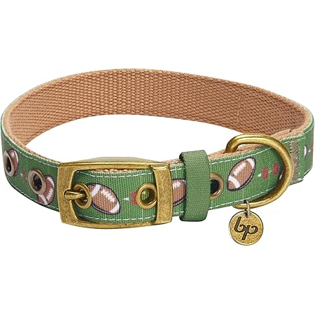 fancy dog collars amazon