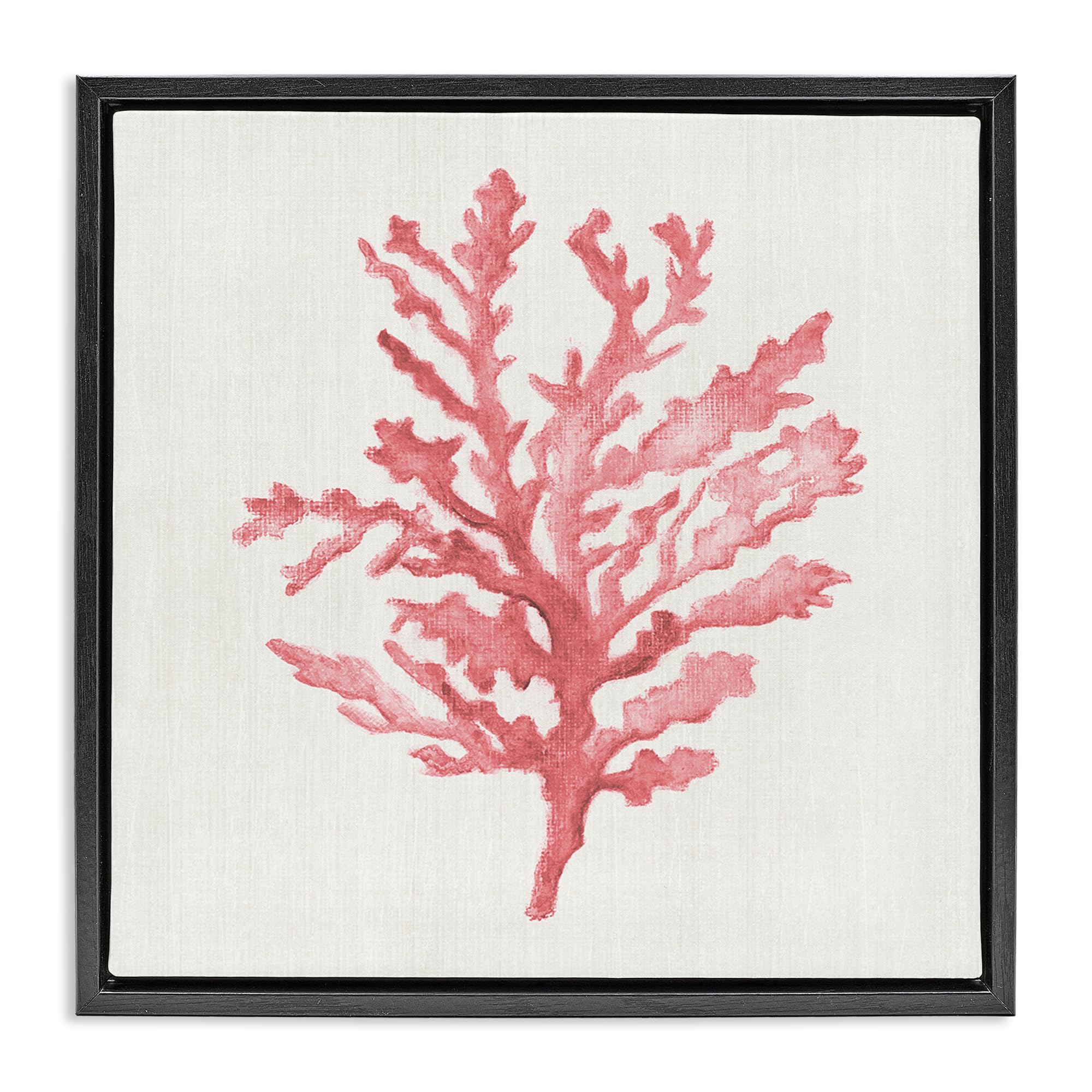 Stupell Industries Jet Black (Matte) 'Rosy Pink Coral Branch'| Floating Frame Canvas Art