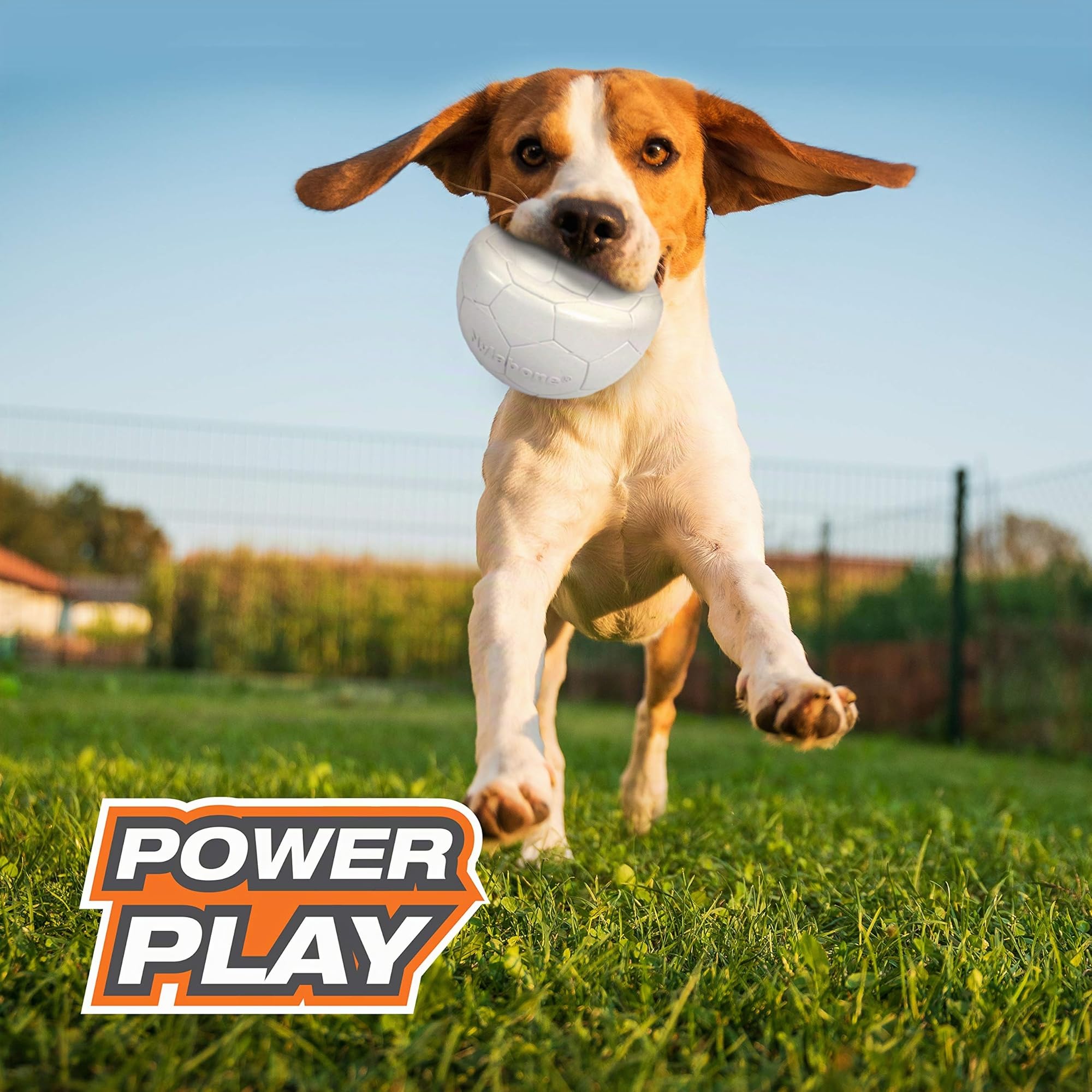 Nylabone Power Play Gripz - Palla da calcio per cani, con design facile da raccogliere, misura media, 14 cm