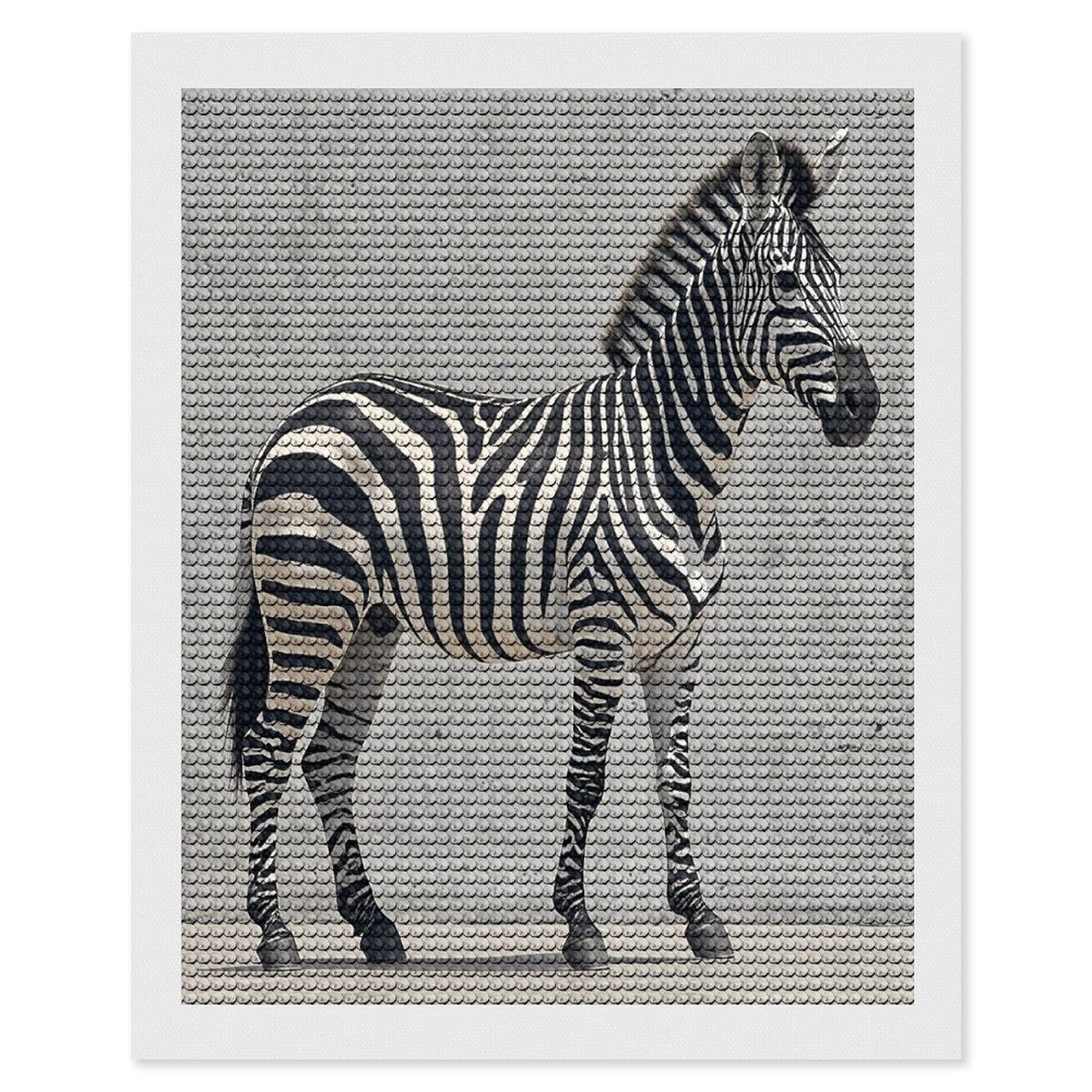 FekiLoot Zebra on The Wall Diamond Painting Kits for Adults Full Round Drill Diamond Art Kits for Beginners 5D DIY Diamond Dots Paintings Diamonds Pictures Gem Art Home Wall Decor 16"x20"
