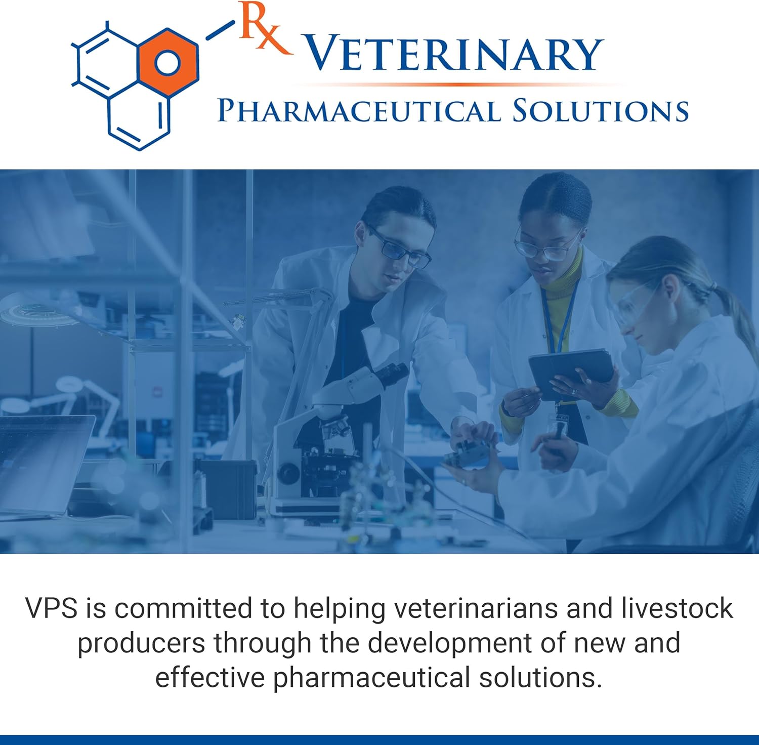 VPS SynovialMax Hip & Joint Soft Chews for Dogs, 240 count