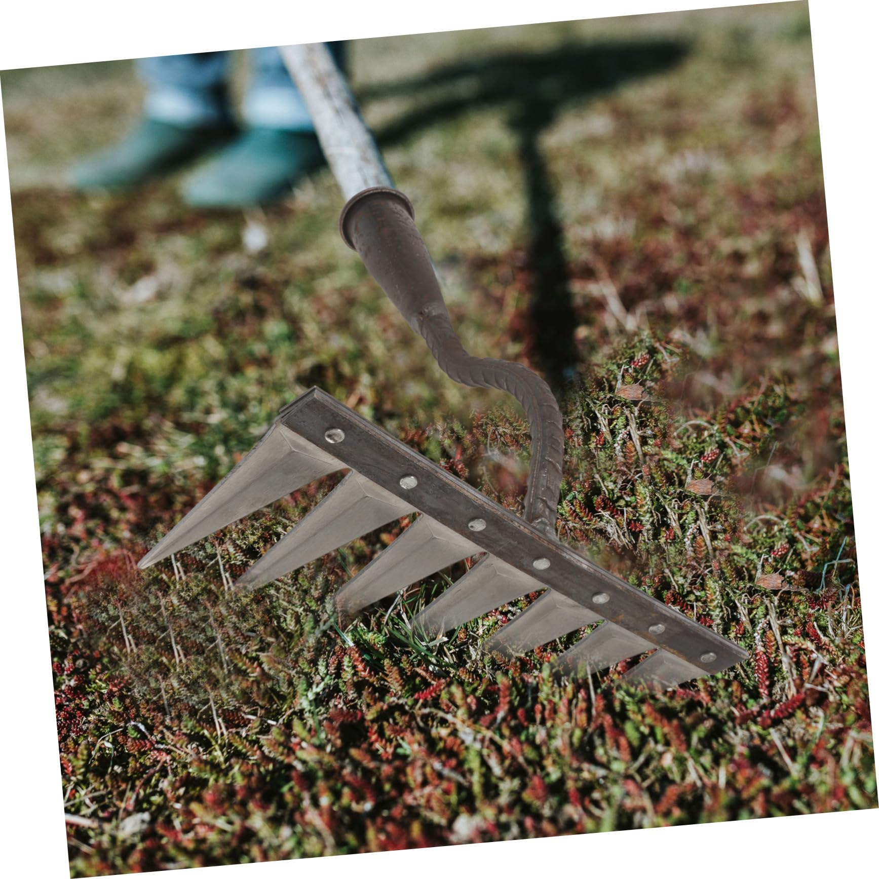 Gartenrechen mit Holzgriff Leichter und Robuster Handrechen für Effektives Arbeiten im Garten zum Lockern Graben und Umpflanzen
