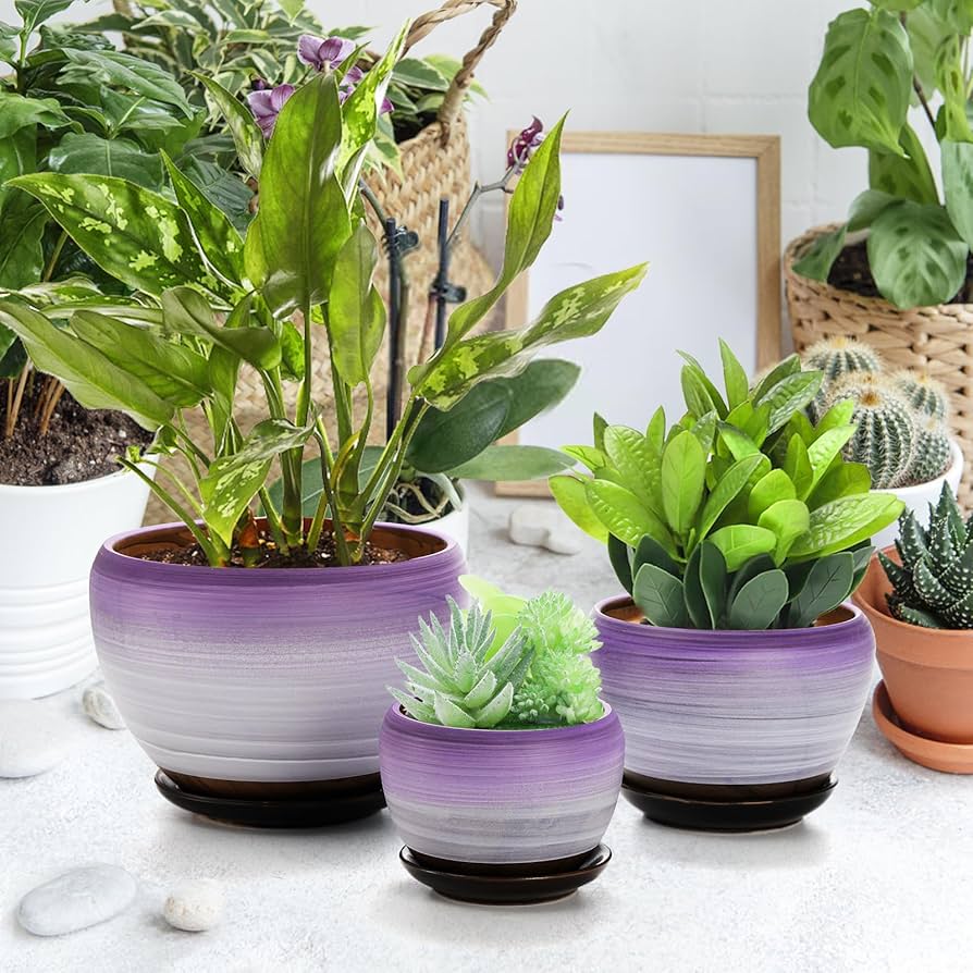 Amazon.com: SOUJOY Set of 3 Ceramic Flower Pots, Gardening