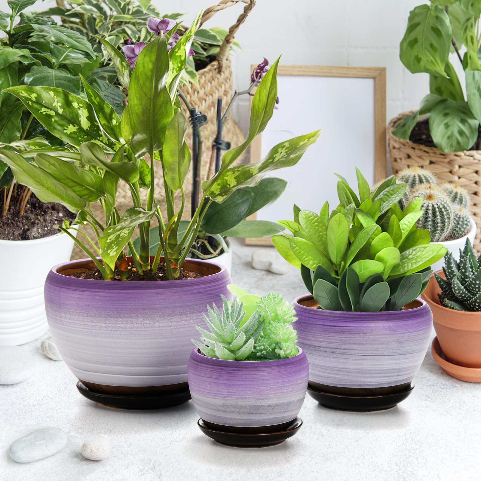 Amazon.com: SOUJOY Set of 3 Ceramic Flower Pots, Gardening Plant Pot with  Drainage Holes and Saucer, 7/5/4 inch Purple Round Succulent Herbs Cactus  Planter for Indoor Outdoor : Patio, Lawn & Garden