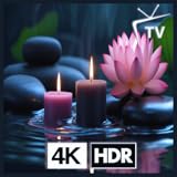 禅キャンドル - 内なる瞑想のための輝くティーライトの炎