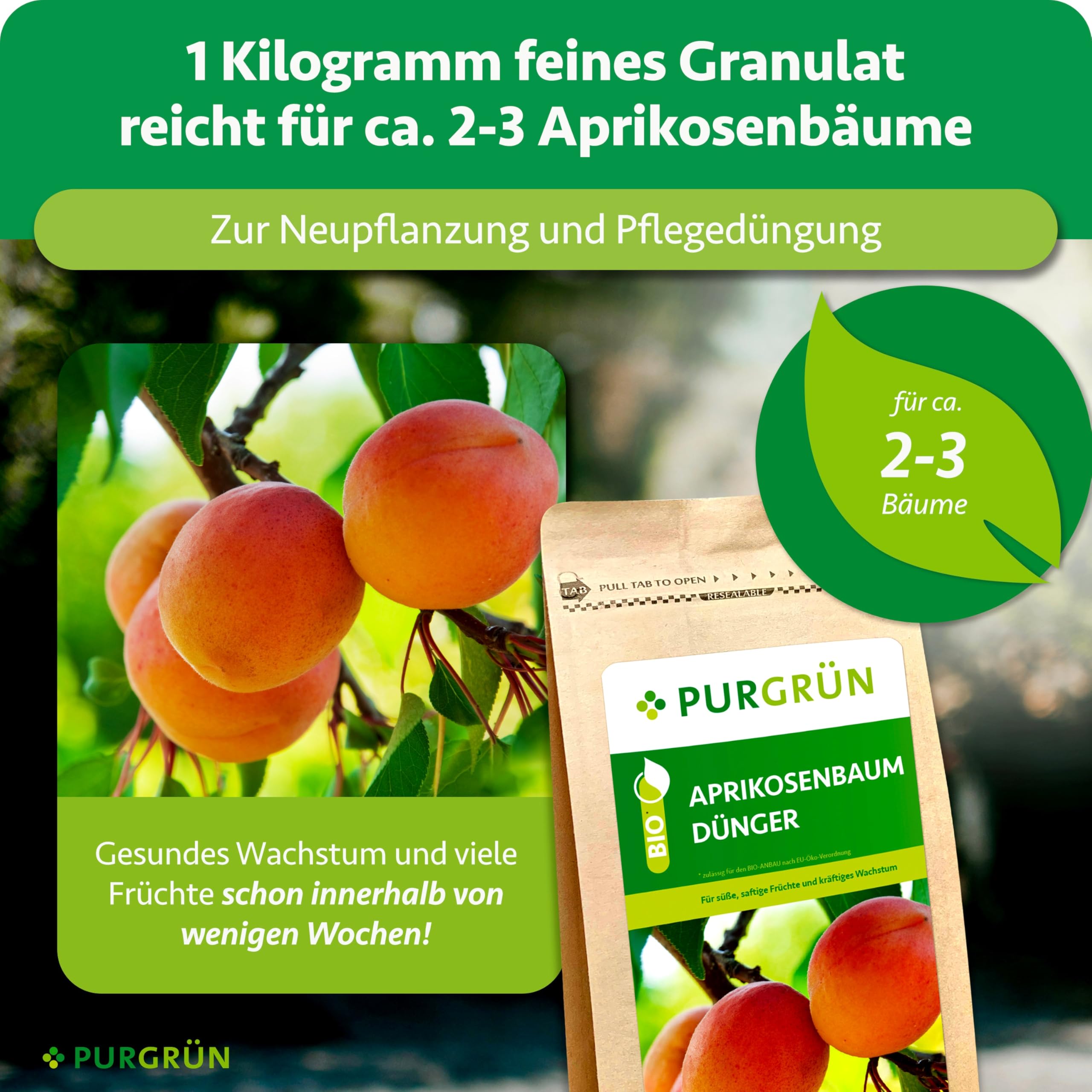 Bio-Aprikosenbaum-Dünger 1 kg – Organisch-mineralische Rezeptur – Feinkörniges Krümelgranulat – NPK 6+4+5 – Mit Magnesium für süße Aprikosen – Verbessert die Bodenqualität