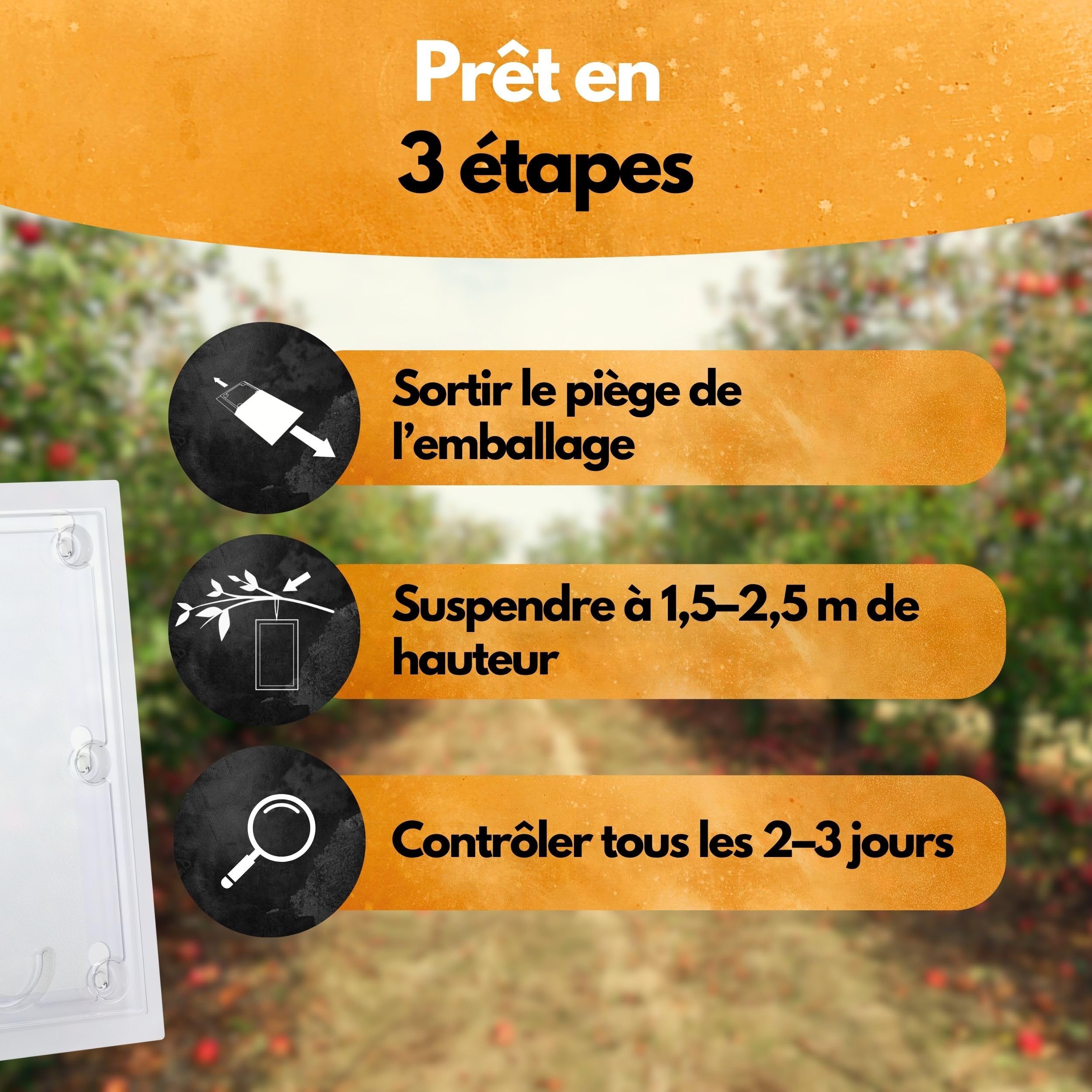 SCHÄDLINGSMEISTER® Lot de 3 pièges à carpocapse de pomme, avec ficelle, piège à phéromones pour lutter contre le carpocapse du pommier, lutte contre le carpocapse du pommier, lutte contre les