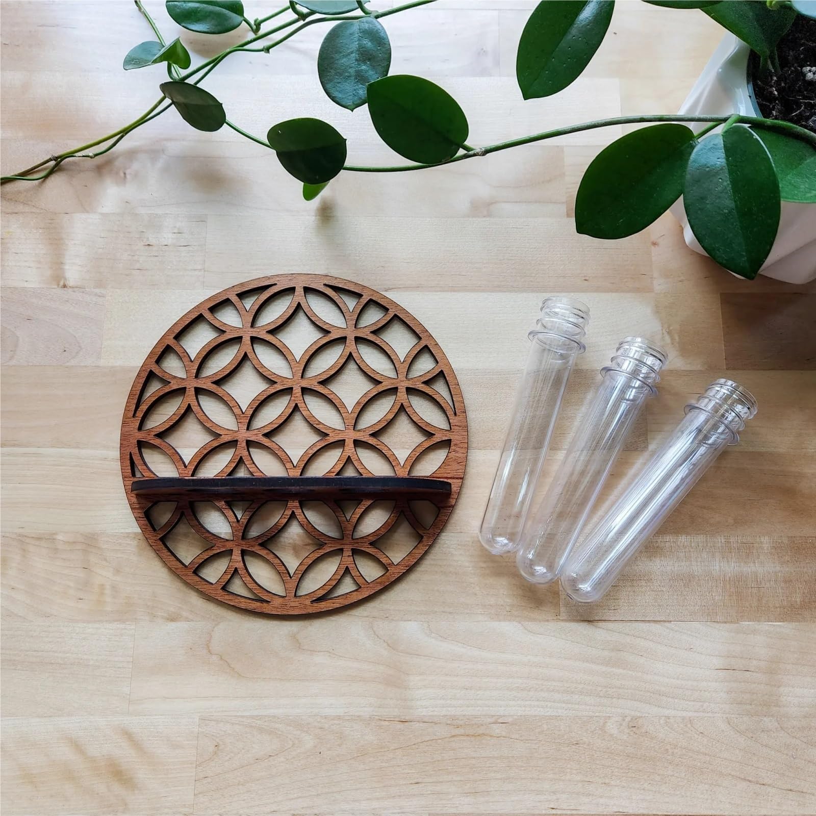 Wandvase Wandpflanzgefäße, 3 Reagenzgläser, Vermehrungsstation | Zimmerpflanzen Home Office Pflanzenaufhänger Blumenvasen