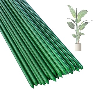 Plant Support Stakes
