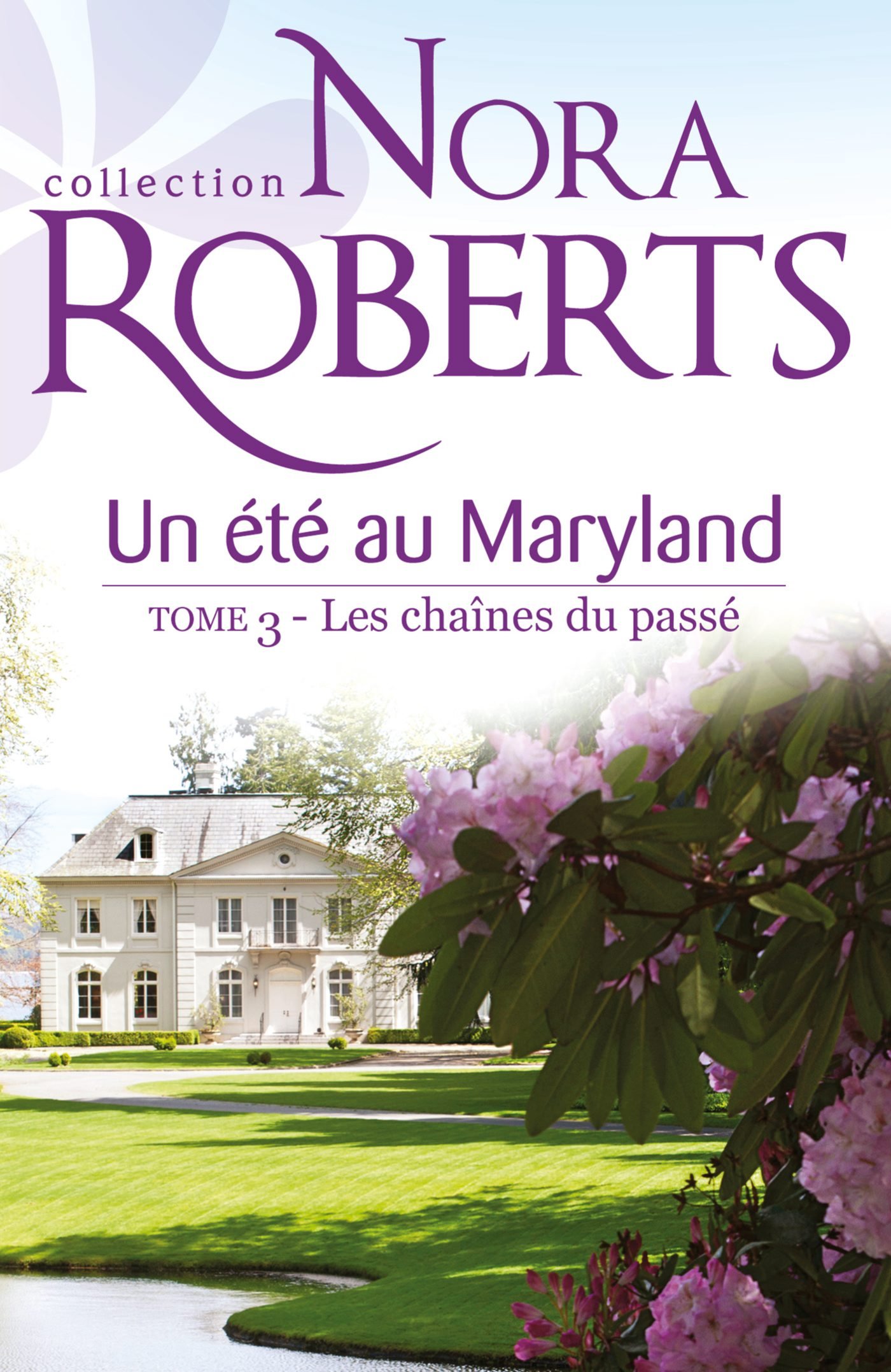 Un été au Maryland : Les chaînes du passé: T3 - Le Destin des McKade (French Edition)