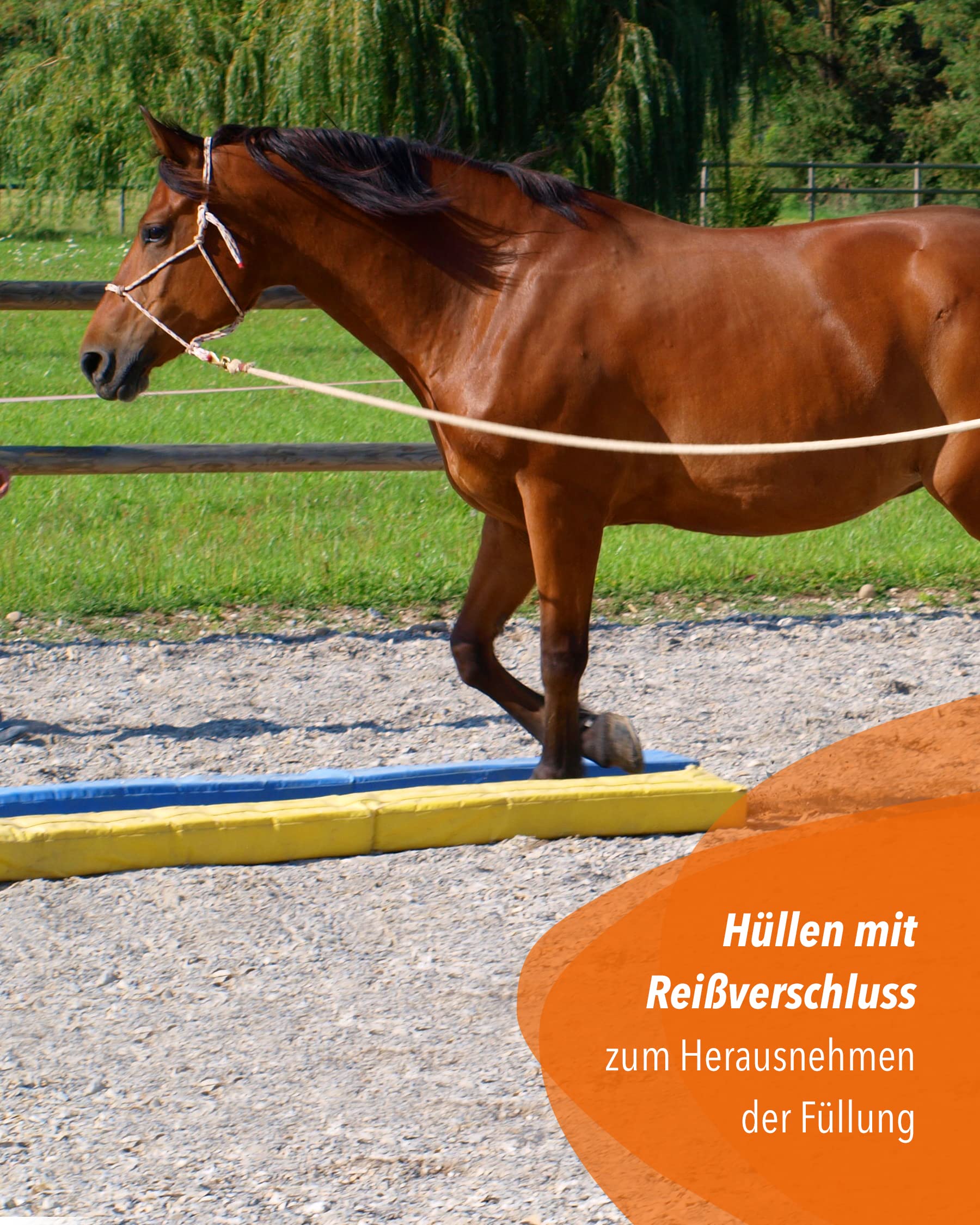 Pferde-Gassen 2er-Set – Bodenarbeitsstangen 300 cm aus Schaumstoff, Blau & Gelb, für sicheres Mental- und Koordinationstraining