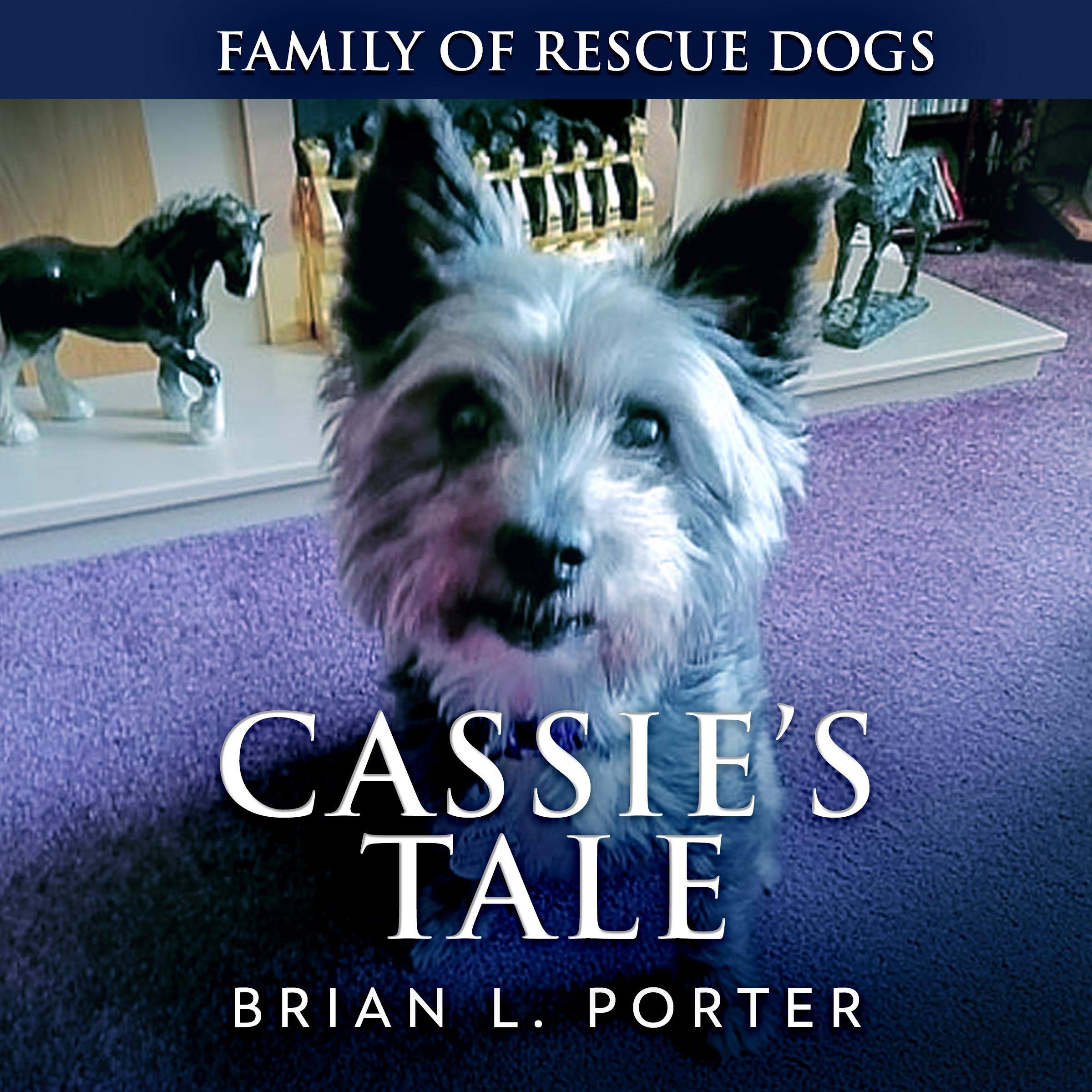 Cover art for Cassie's Tale
