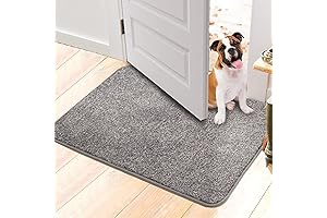 Walensee Indoor Doormat: The Perfect Low-Profile Rug for Seamless Transitions