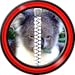 Zipper Lock Screen – Koala