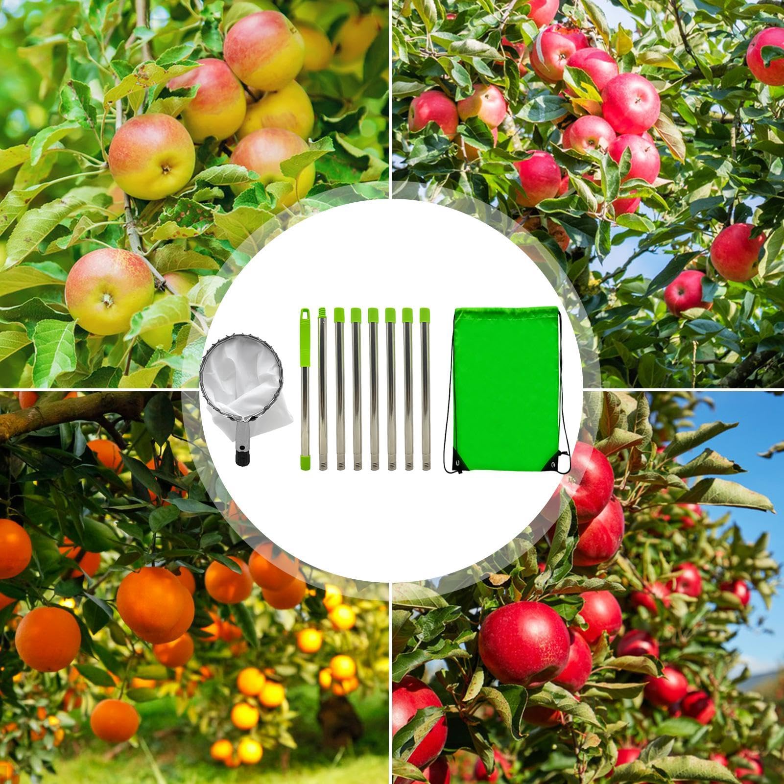 Generisch Outil de cueillette de Fruits – Barre de cueillette de Fruits