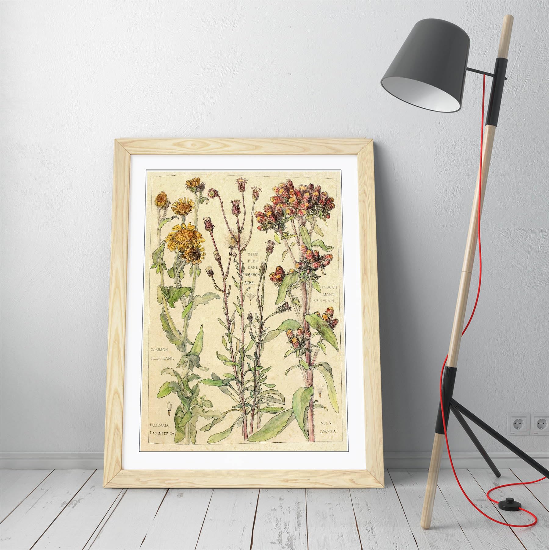 Fleurs vintage CANVAS MONKEY image encadrée A1 cadre en chêne clair décoration murale - 3