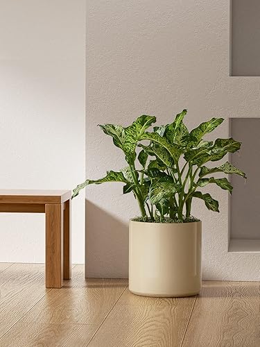 Miniatura 6 de LE TAUCI Macetas de 12 pulgadas para plantas, maceta grande de cerámica para plantas de interior, macetas modernas de mediados de siglo con orificio