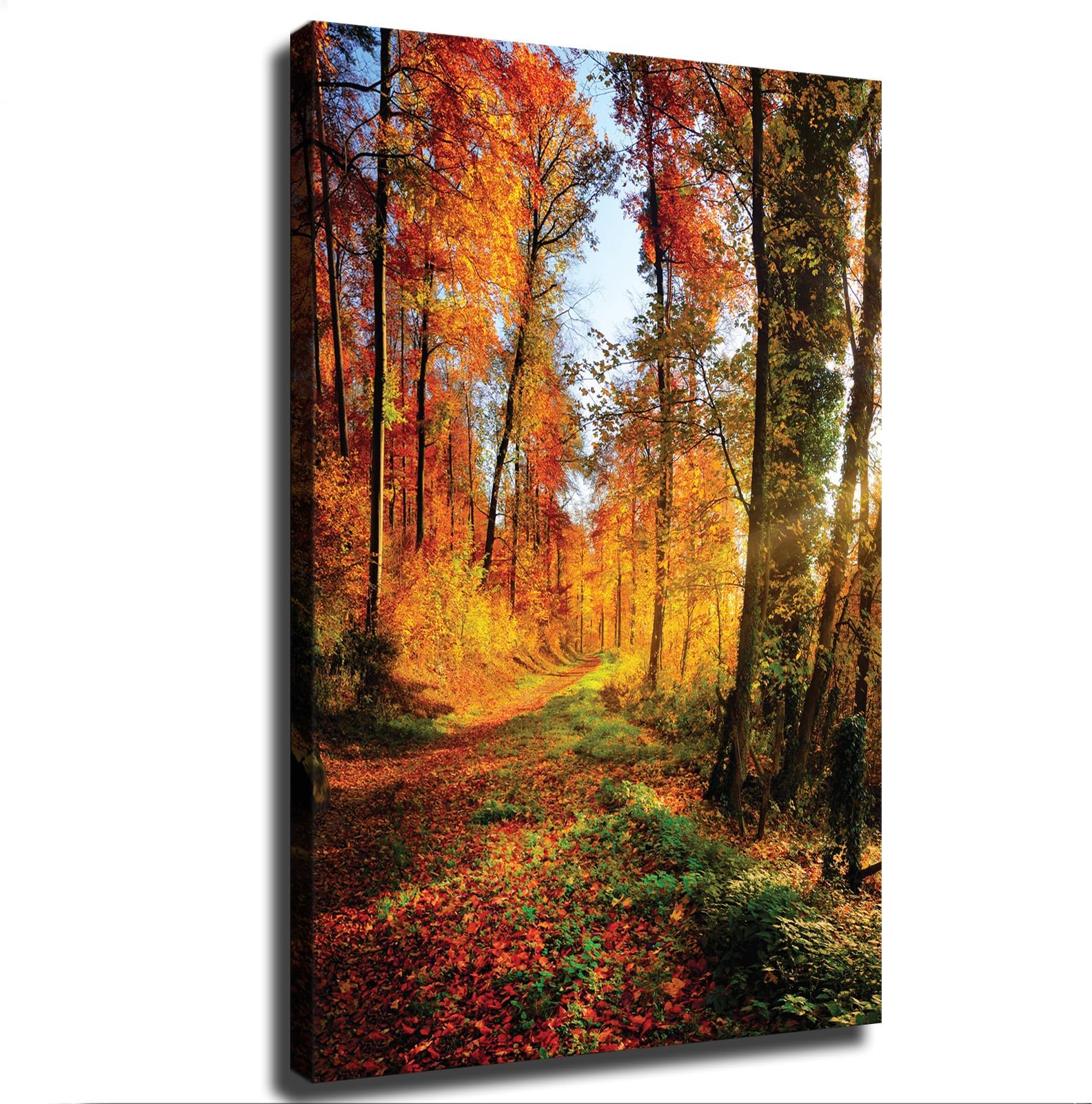 Gorgeous Forest Autumn Fall Leaves Seasons Changing Nature Landscape Panorama Photo Poster Picture Art Print Canvas Wall Art Home Living Room Bedroom Decor (12×18inch,Unframed)