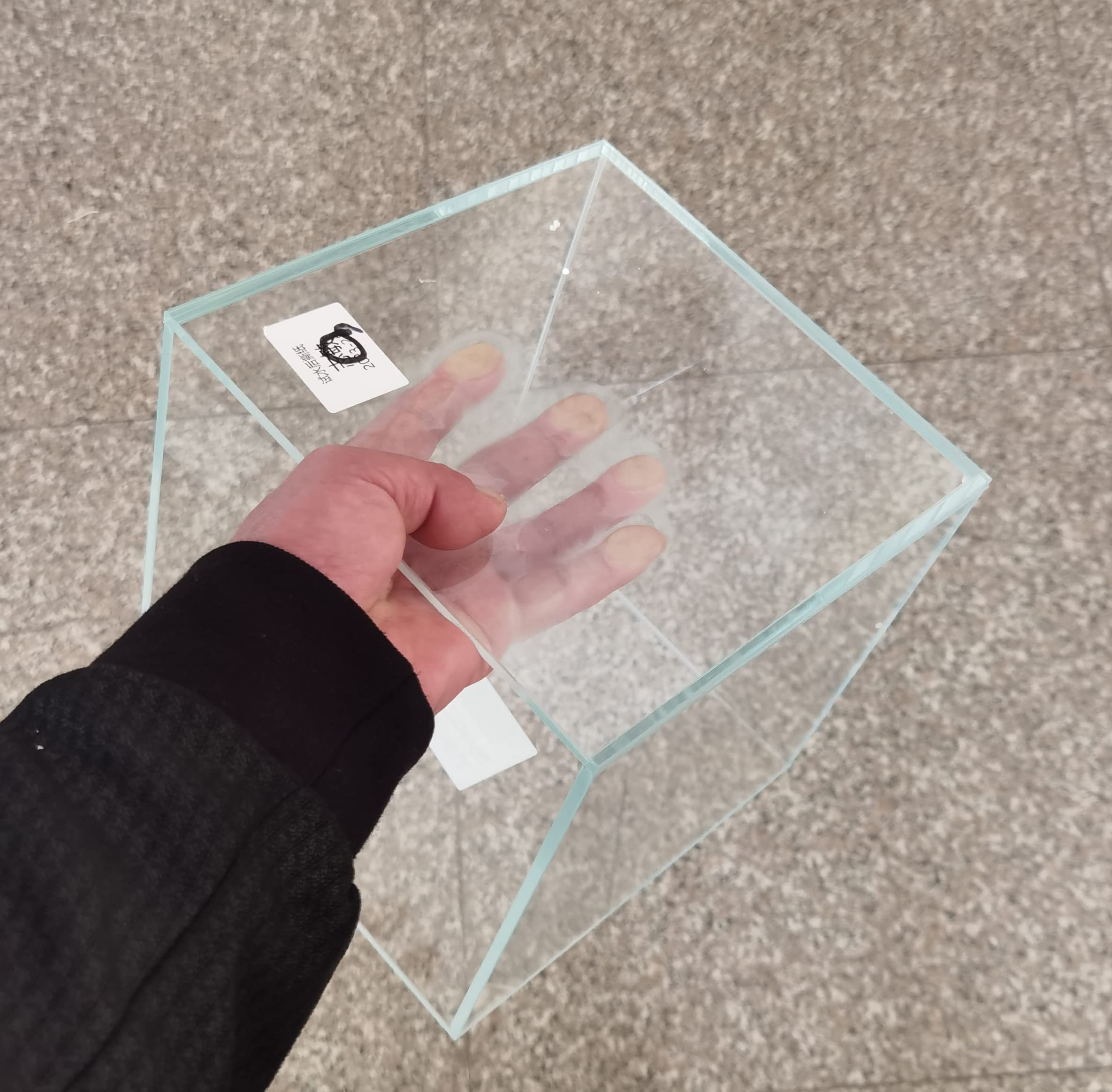 Amazon.com : AWXZOM Small Nano Tall Rimless Tank, Glass Fish