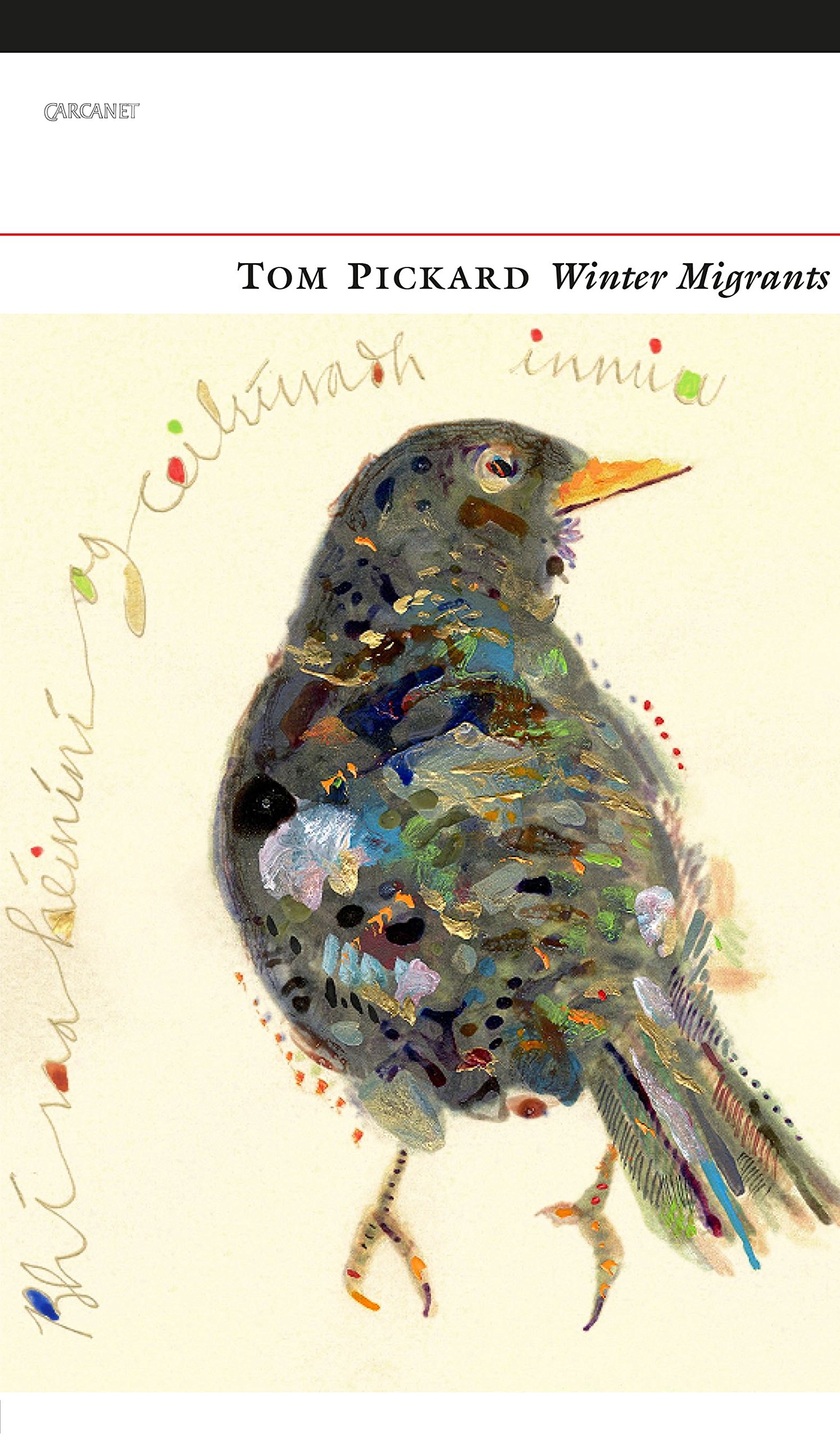 Winter Migrants: A Bird's Journey Over the Fells and a  by Tom Pickard PAPERBACK