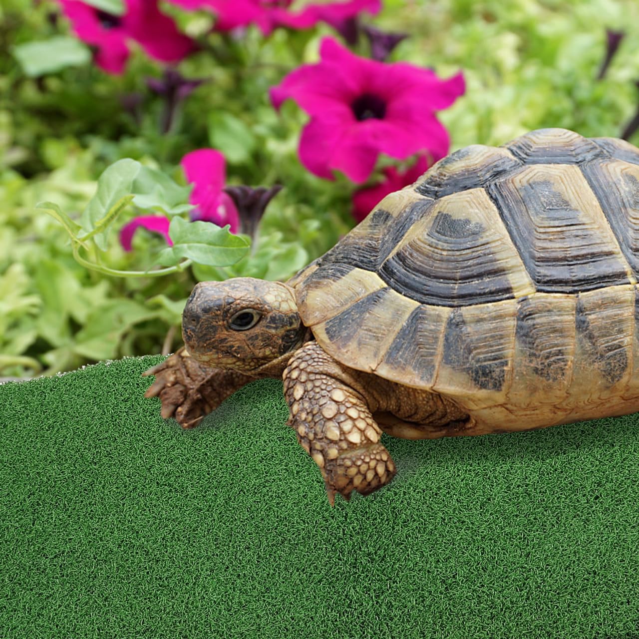 POPETPOP Herbe Artificielle pour Aquarium, Tortues, Accessoires de Gazon Artificiel, de Tortues, pour Aquarium, Gazon Artificiel pour Bain de Soleil des Tortues en Plastique