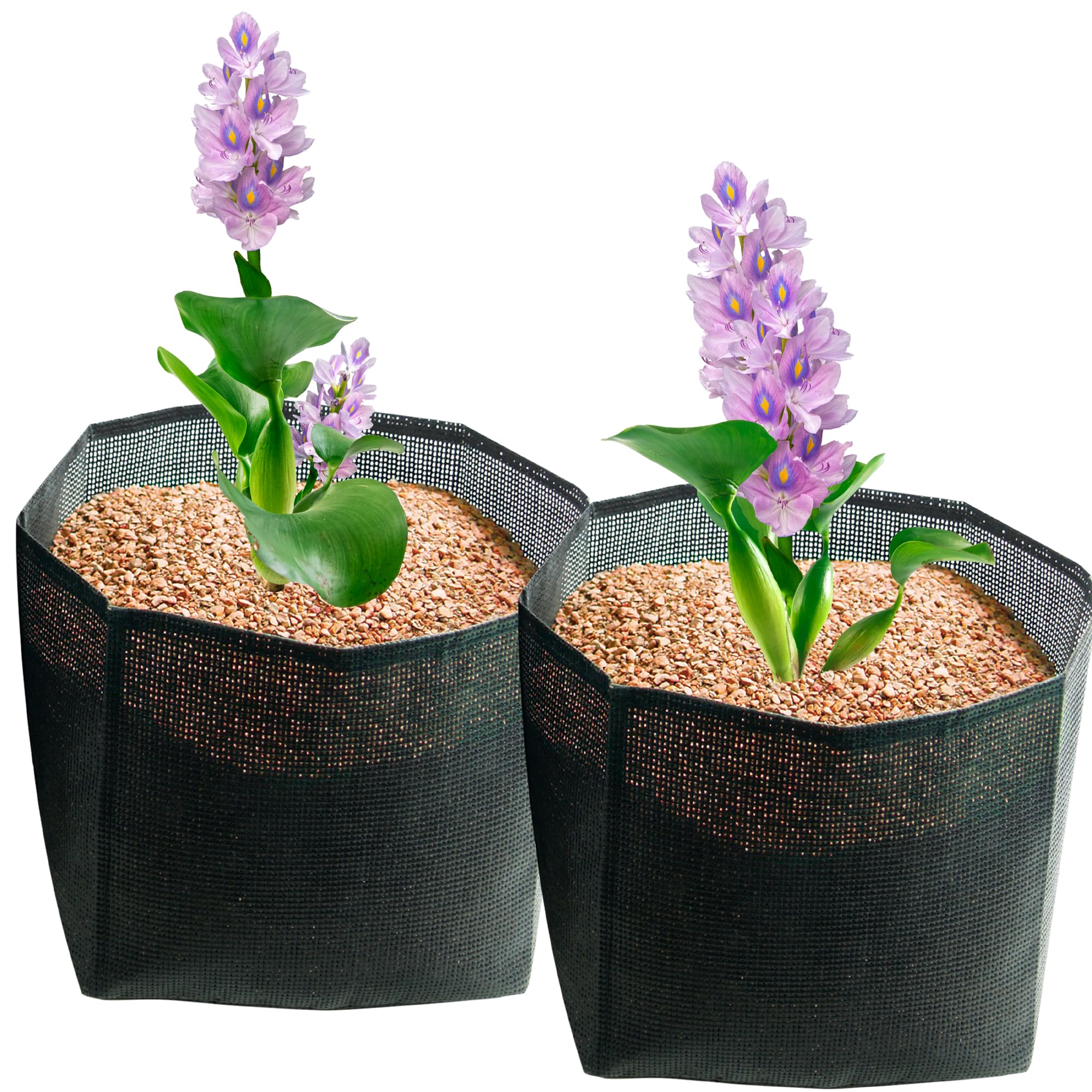 Amazon.com : The Pond Guy Planting Bags for Backyard Water Gardens, Durable  Mesh Planter Pot for Lily & Bog Plants, Grow Healthy Aquatic Plants, 7-Inch  Square : Patio, Lawn & Garden