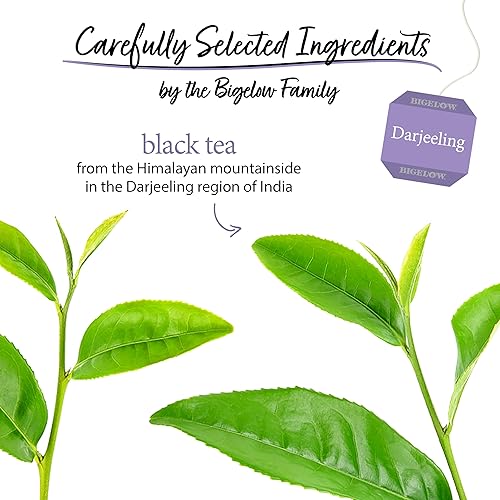 Miniatura 33 de Bigelow Vanilla Chai Black Tea, caja de 20 sobres (paquete de 6), té negro con cafeína, 120 bolsas de té en total