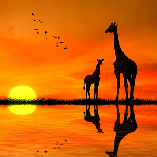 African Safari Screensaver App on Amazon Appstore