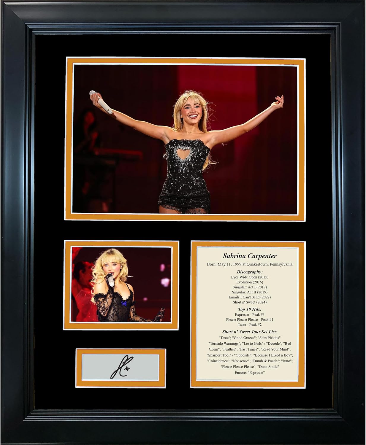 Framed Sabrina Carpenter Short n' Sweet Tour Discography Facsimile