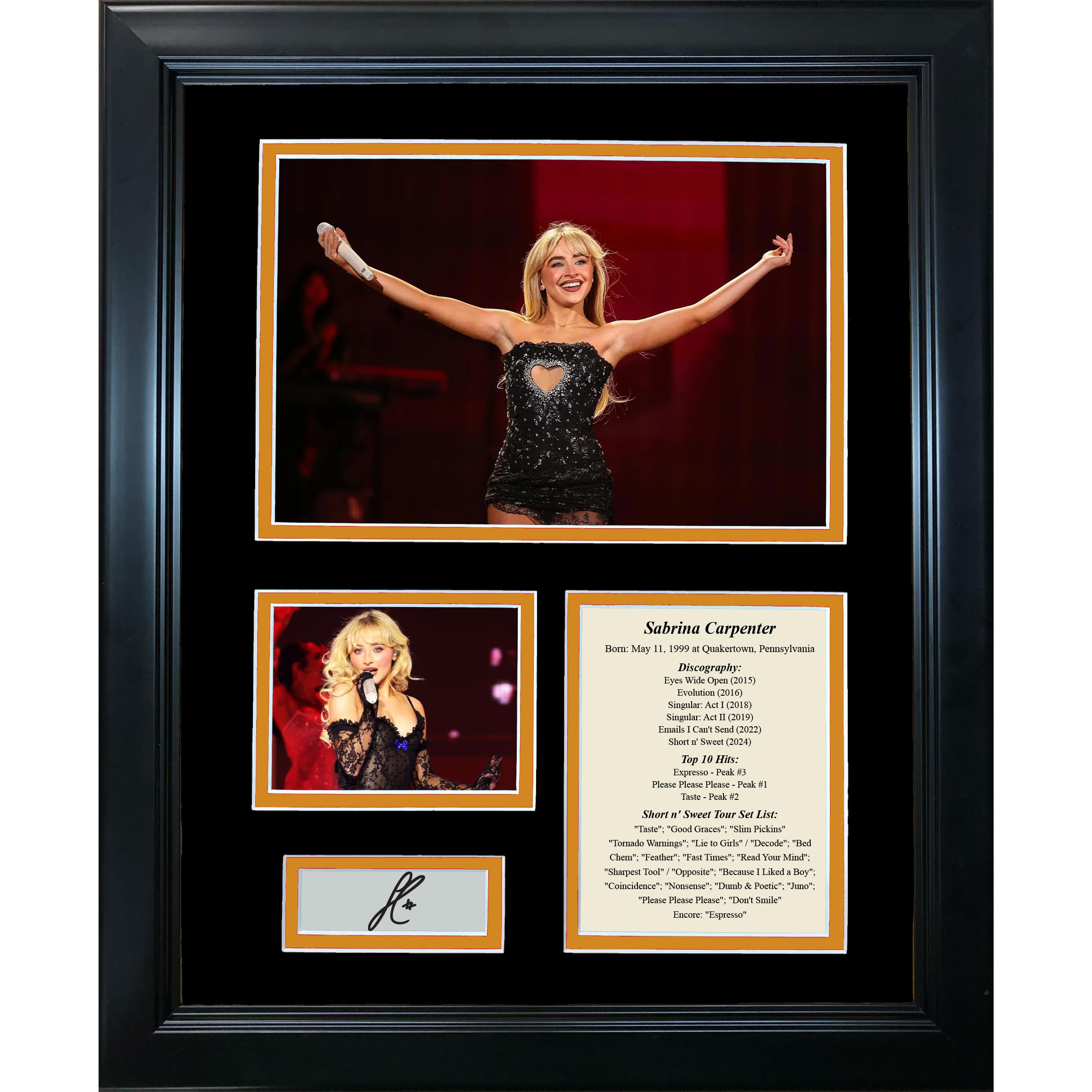 Framed Sabrina Carpenter Short n' Sweet Tour Discography Facsimile