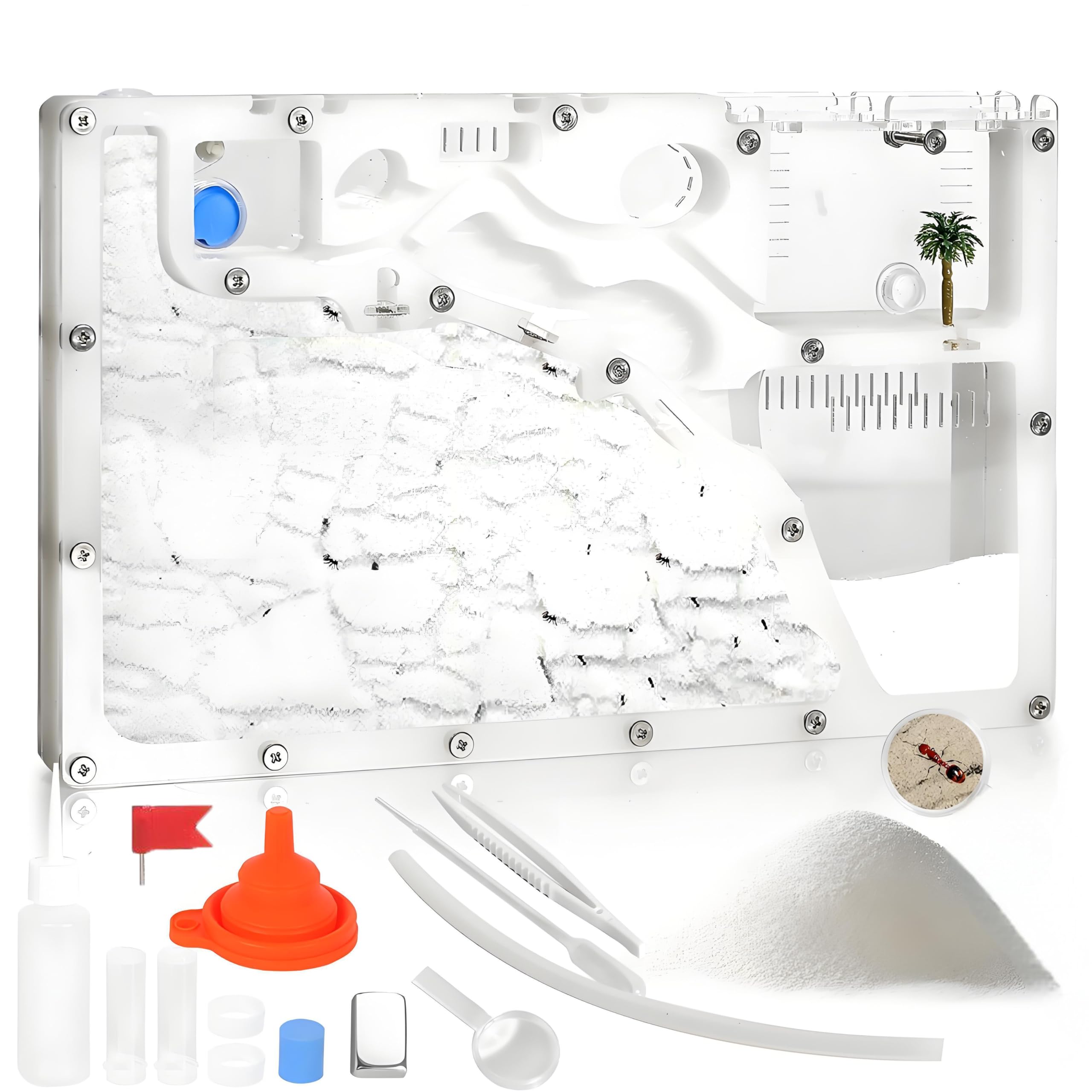 Amazon.com: Blevla Ant Farms with Connections, Ant Farms, Live