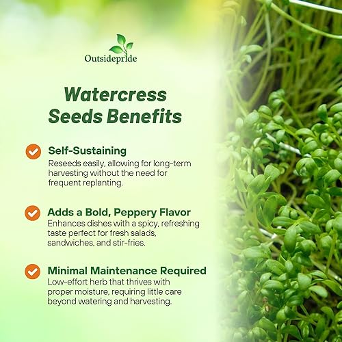 Miniatura 3 de Watercress Blanco