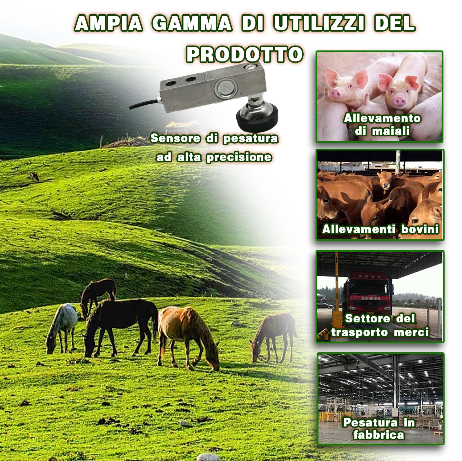 Kit Bilancia per Bestiame, Piattaforma di Celle di carico per Bilancia Elettronica per Pallet per Animali, indicatore di pesatura con Display LCD retroilluminato ad Alta precisione
