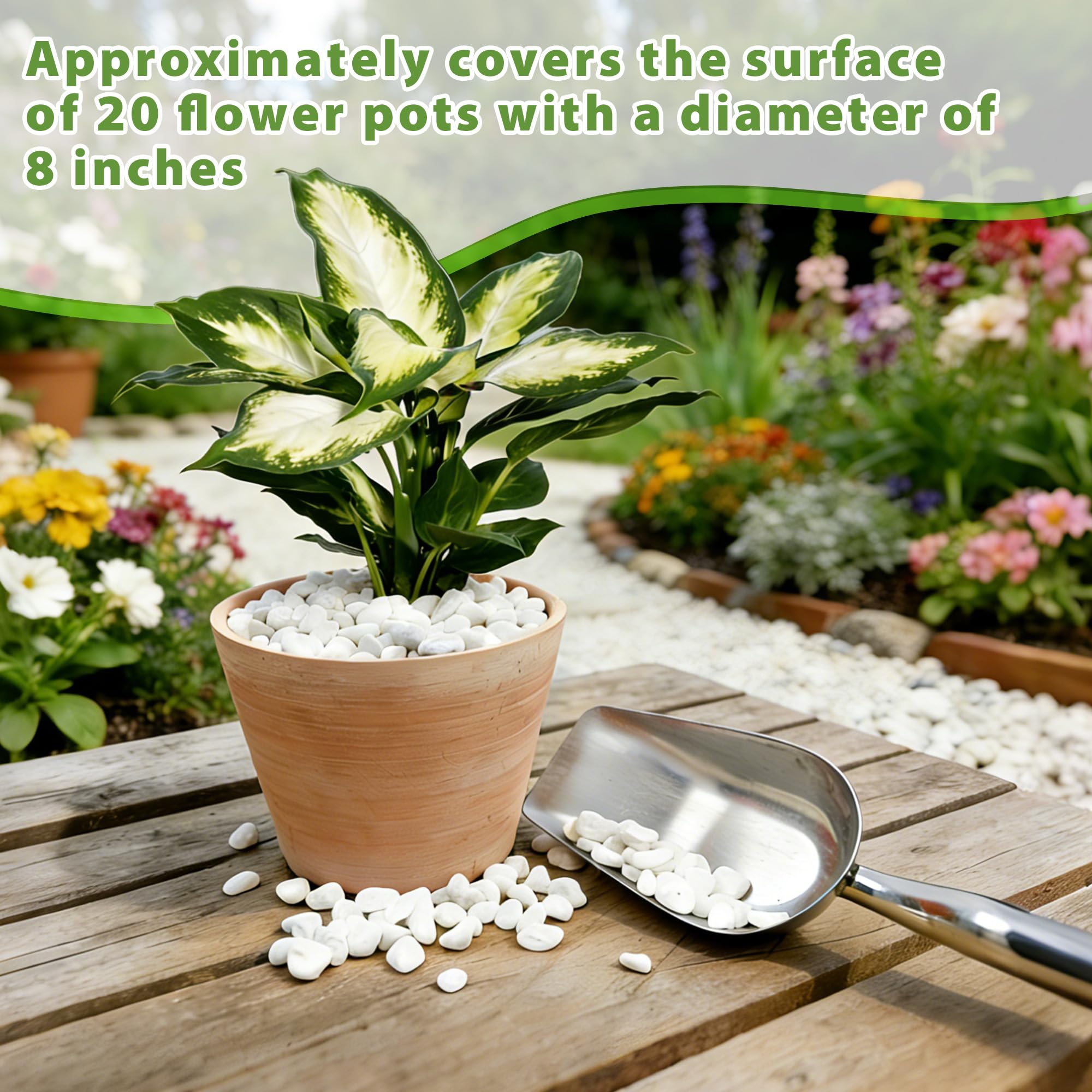Anothera - Piedras decorativas de frijol blanco de 1,27 cm para interior y exterior, para plantas de pecera, jardín (bolsa de 8,2 kg)