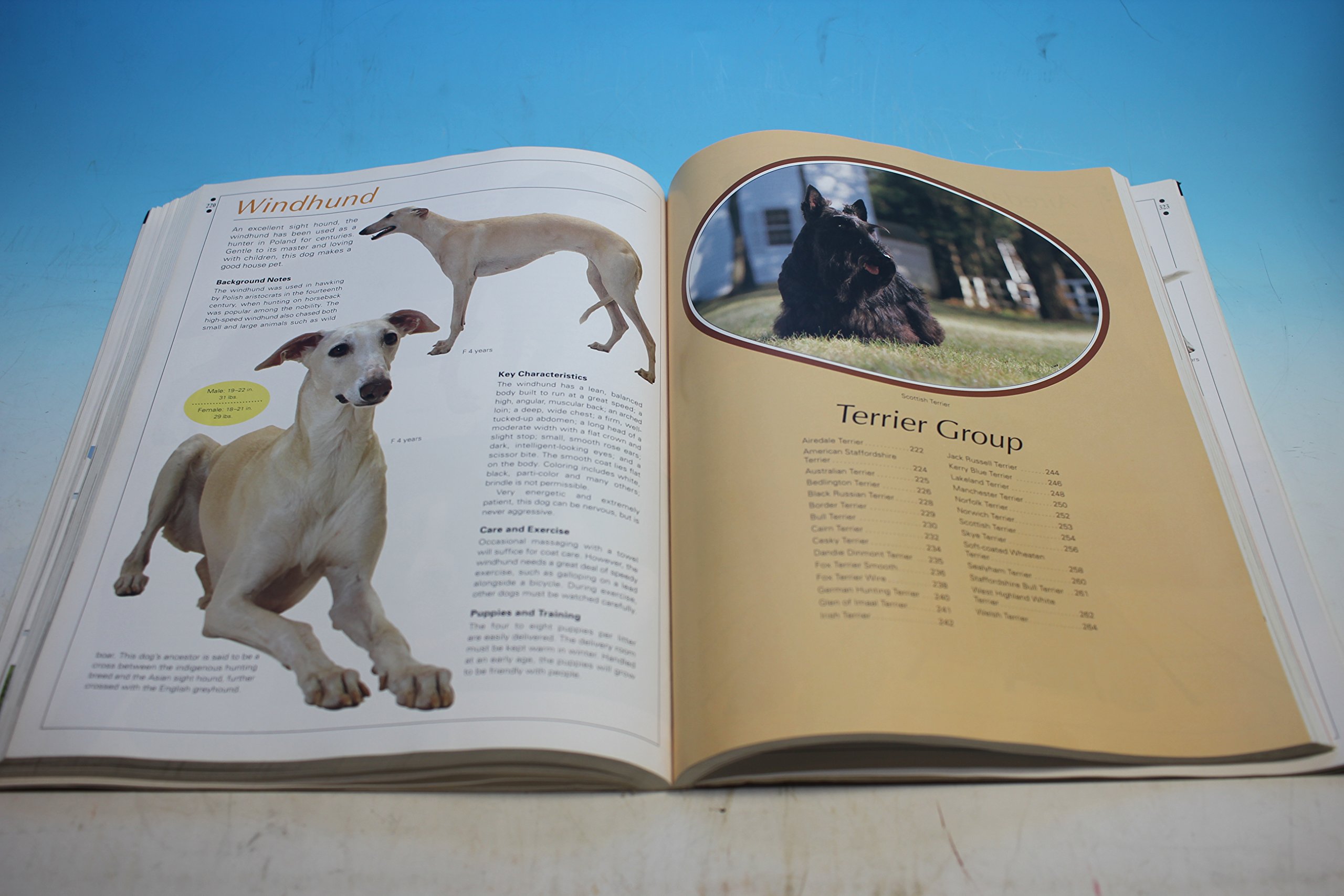 Legacy of the Dog: The Ultimate Illustrated Guide to Over 200 Breeds - Image 3