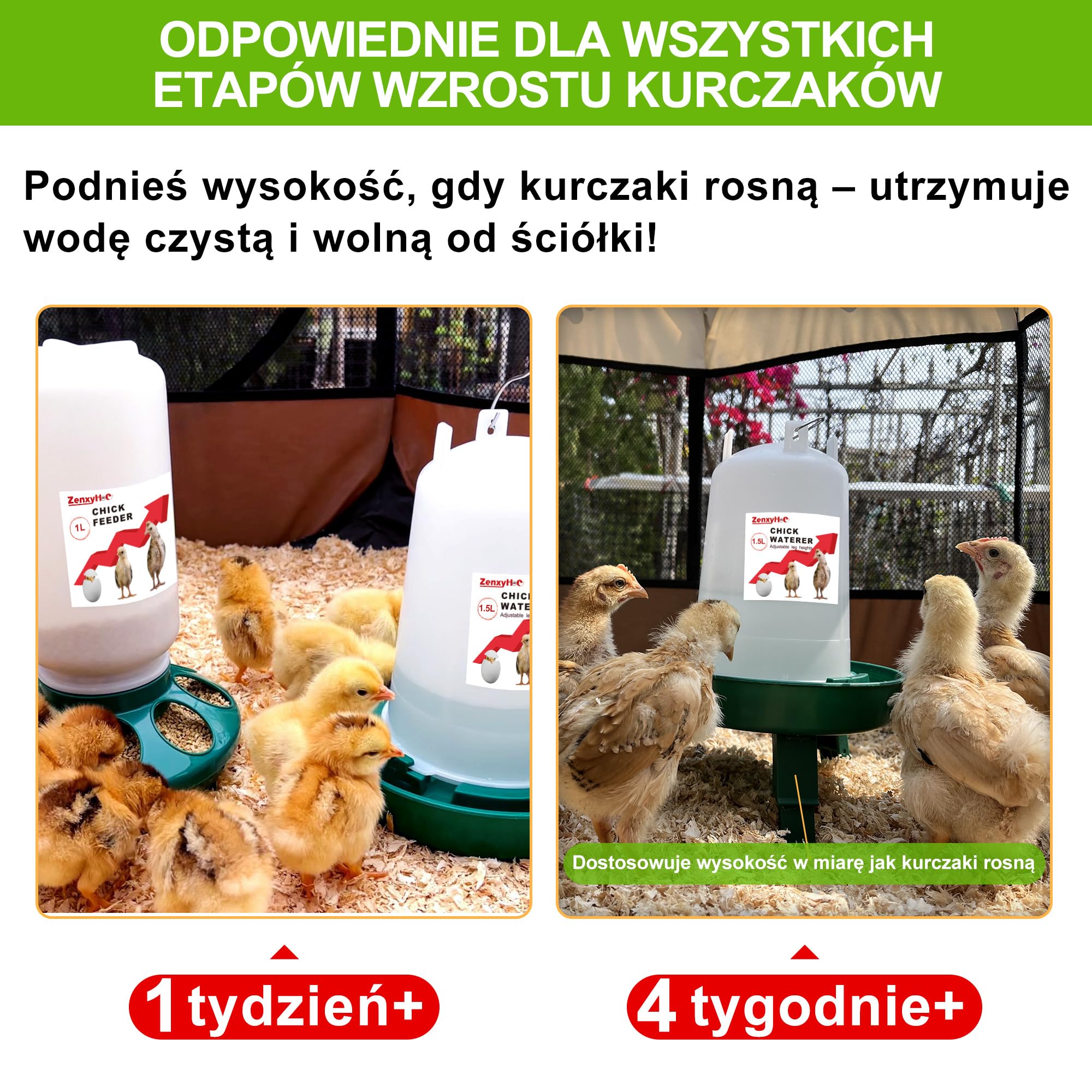 ZenxyHoC Zestaw do poidła dla piskląt, automat do karmy dla kurcząt, 1 kg i poidło 1,5 l z 3 regulowanymi wysokościami (zielony)