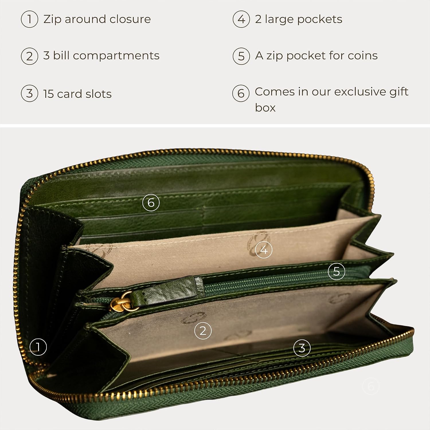 Time Resistance Leather Minimalist Wallet – Handmade Italian Full-Grain Leather Continental Wallet – Slim Cards and Cash Holder (Green)