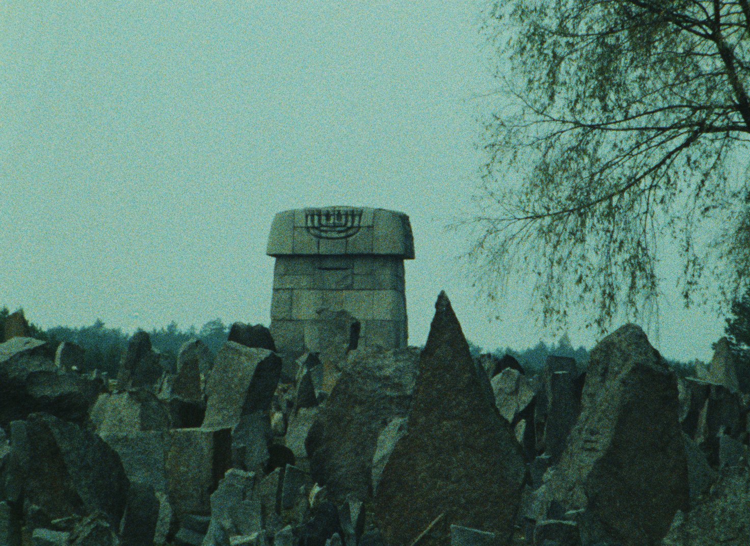 Shoah (The Criterion Collection) [DVD] image 3