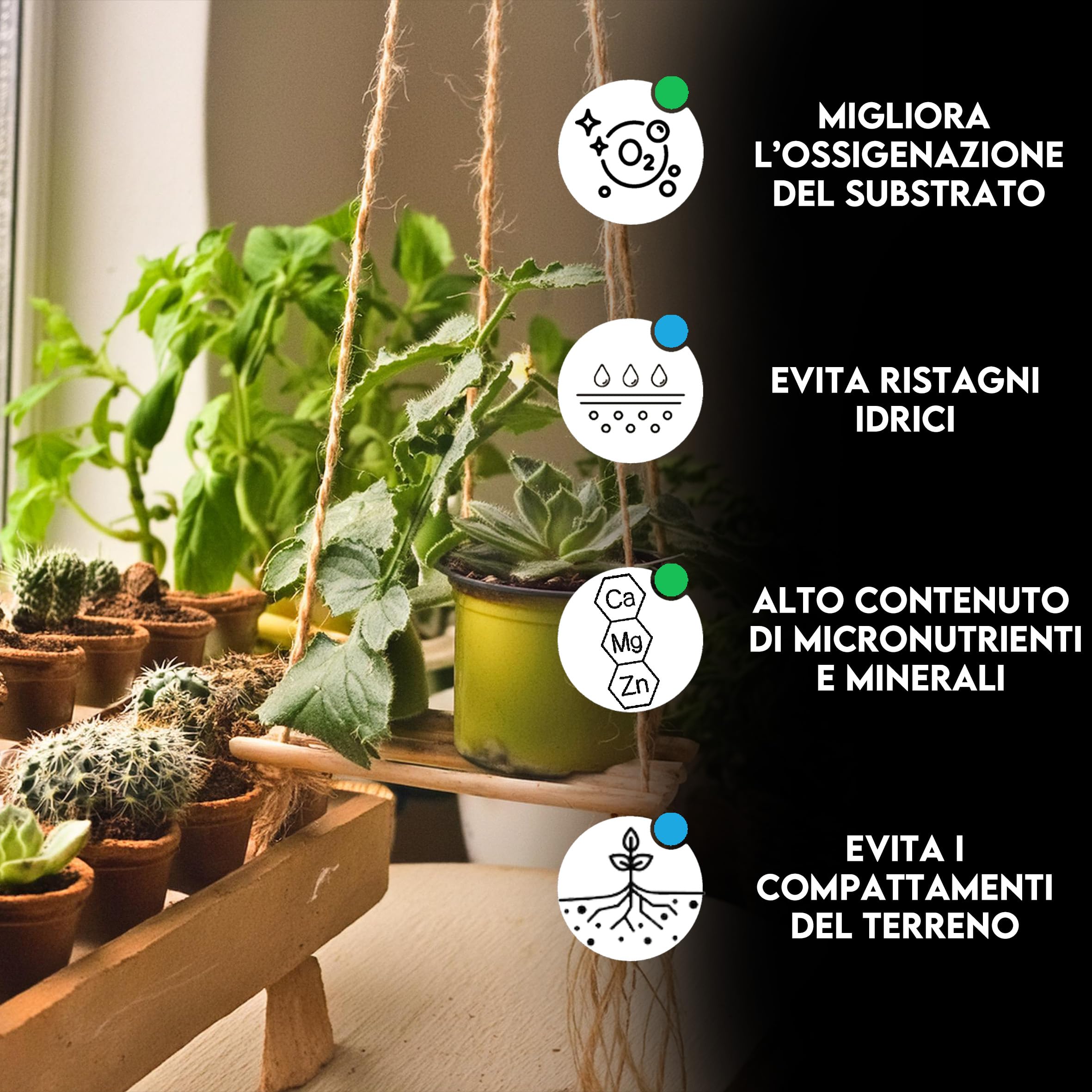 Terriccio Per Fragole E Piccoli Frutti Zomagarden - Ricco Di Humus E Sfagno, Ideale Per Vaso E Giardino - Foto 3
