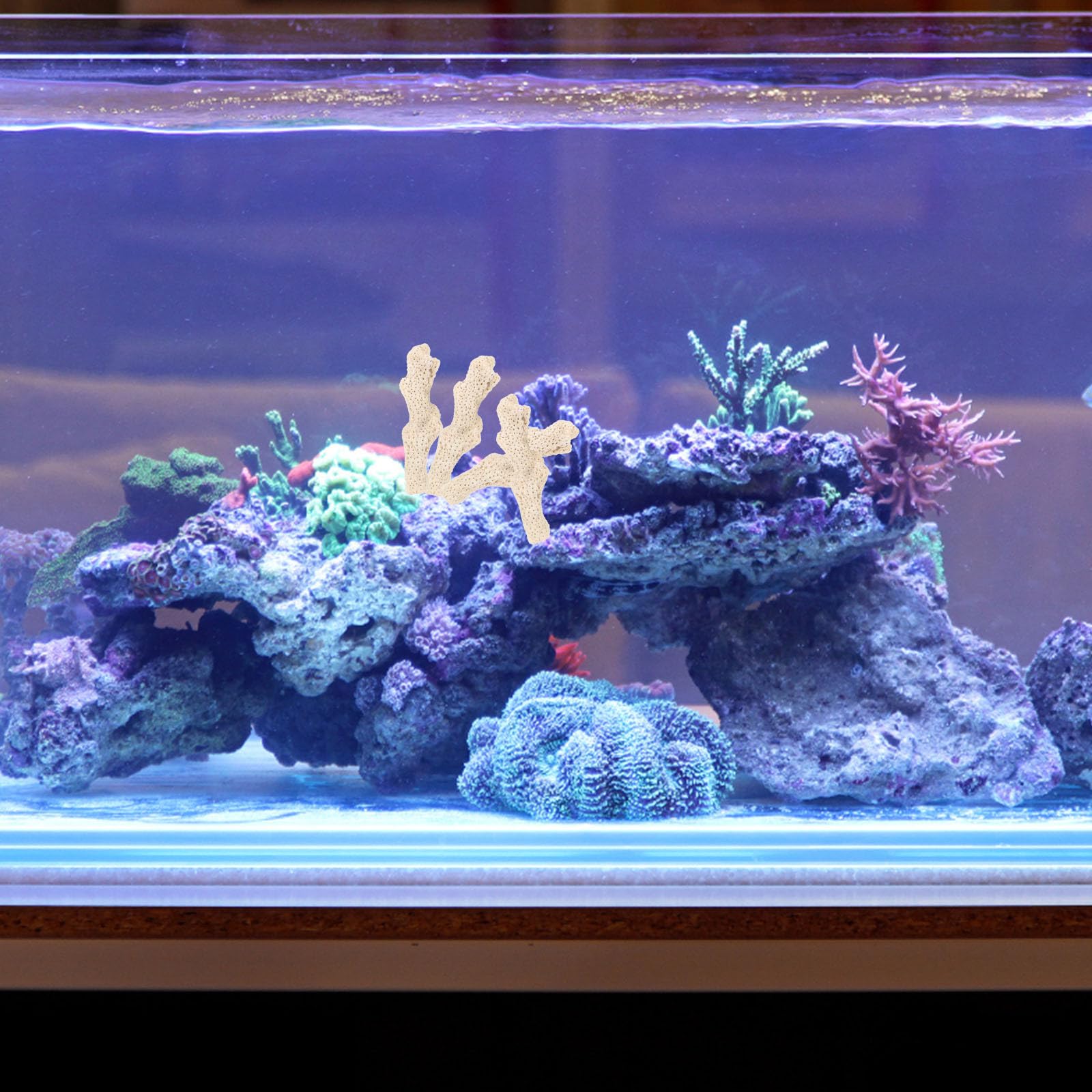 Alipis Medio Filtrante de Coral Triturado: Biomedio Reutilizable para Acuarios con Bolsa de Malla - Estabilizador de Ph para Acuarios de Agua Dulce, Filtración de Estanques Y Decoración