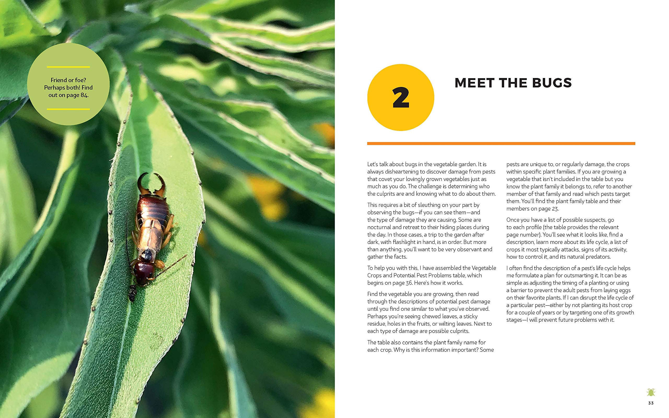 The Vegetable Garden Pest Handbook: Identify and Solve Common Pest Problems on Edible Plants - All Natural Solutions!
