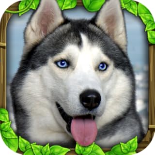 Stray Dog Simulator