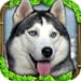 Stray Dog Simulator